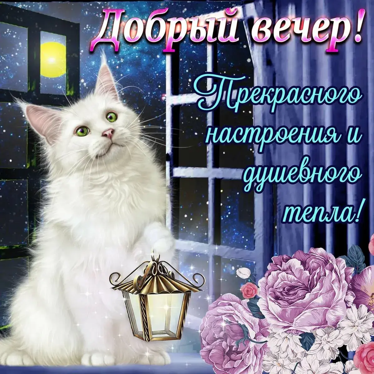 Открытка добрый вечер! - Котик и фонарик: волшебная открытка на вечер  Праздник | Красивая открытка #8