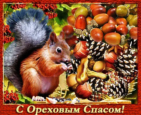 Открытка Ореховый спас. - Белка с орехами: открытка с добрым пожеланием | Красивая открытка #25