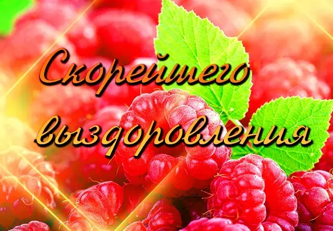 Открытка Скорейшего выздоровления - Открытка с малиной и зеленью | Красивая открытка #55