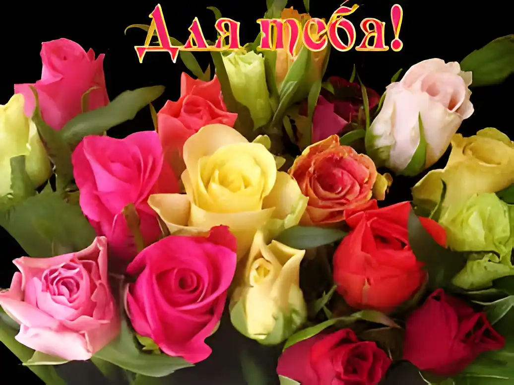 Открытка Открытки для тебя - Букет роз: розовые, красные, жёлтые, белые цветы | Красивая открытка #49