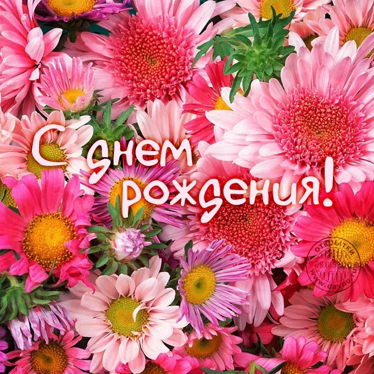 Открытка С герберами - Открытка "С днем рождения": яркие цветы, поздравление | Красивая открытка #8