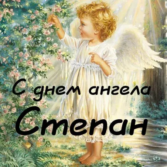 Открытка Открытки с именем Степан - Открытка с ангелом: нежные поздравления | Красивая открытка #102