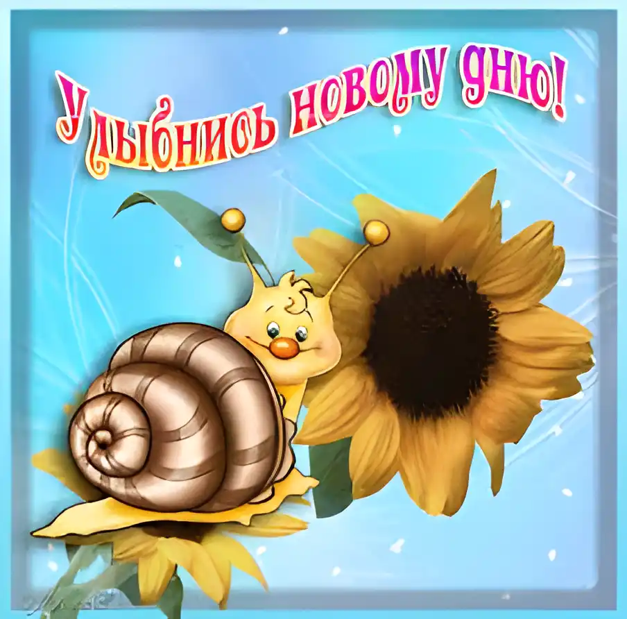 Открытка Открытки улыбнись - Ракушка, подсолнух, рисунок | Красивая открытка #81