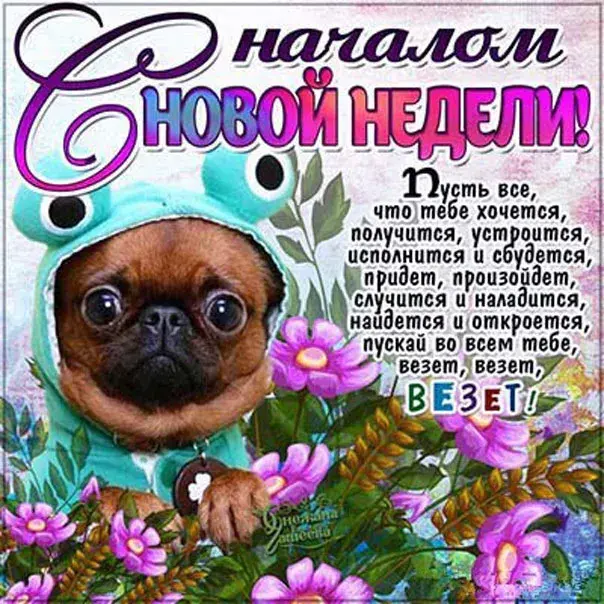 Открытка Хорошей недели - Собака на праздничной открытке: поздравление с новым годом | Красивая открытка #54