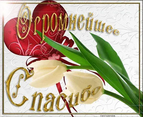 Открытка Благодарность - Открытка с цветами: розы, лилии, зеленые листья | Красивая открытка #12