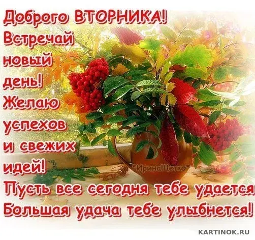 Открытка Открытки на вторник - Открытка с ветками рябины на осеннем фоне | Красивая открытка #63