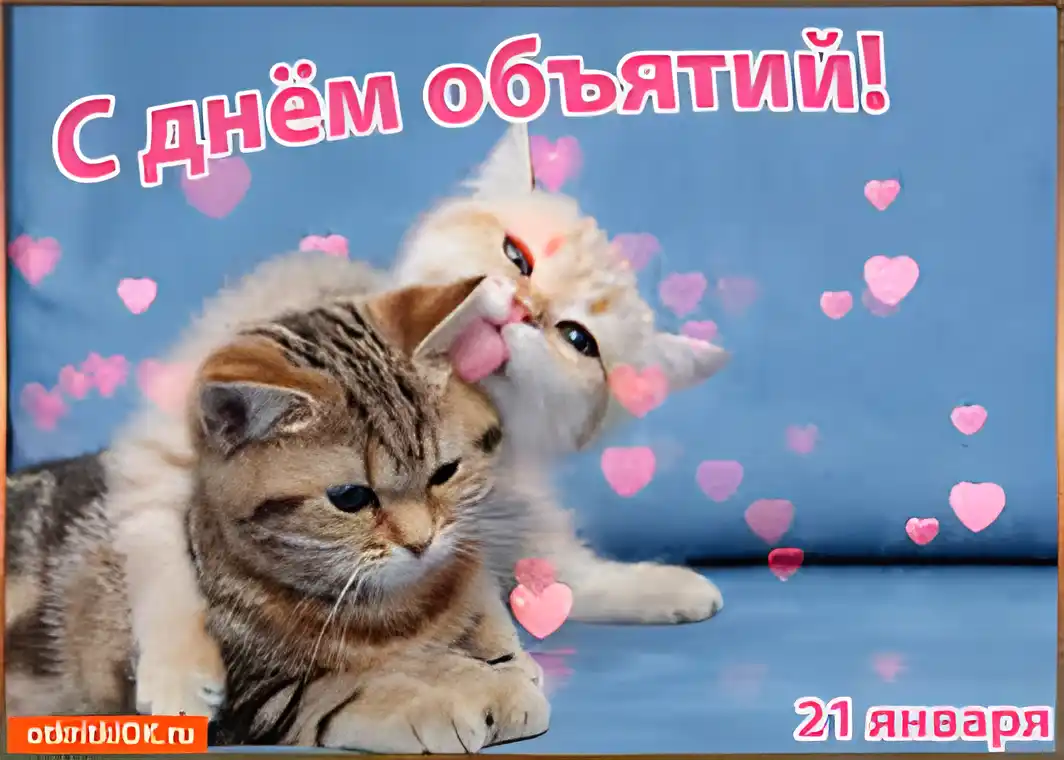 Открытка Открытки с днем объятий - Открытка с котятами на День святого Валентина | Красивая открытка #101