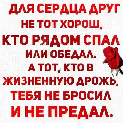 Открытка Романтические цитаты - Открытка с красной розой: С Днем святого Валентина! | Красивая открытка #1