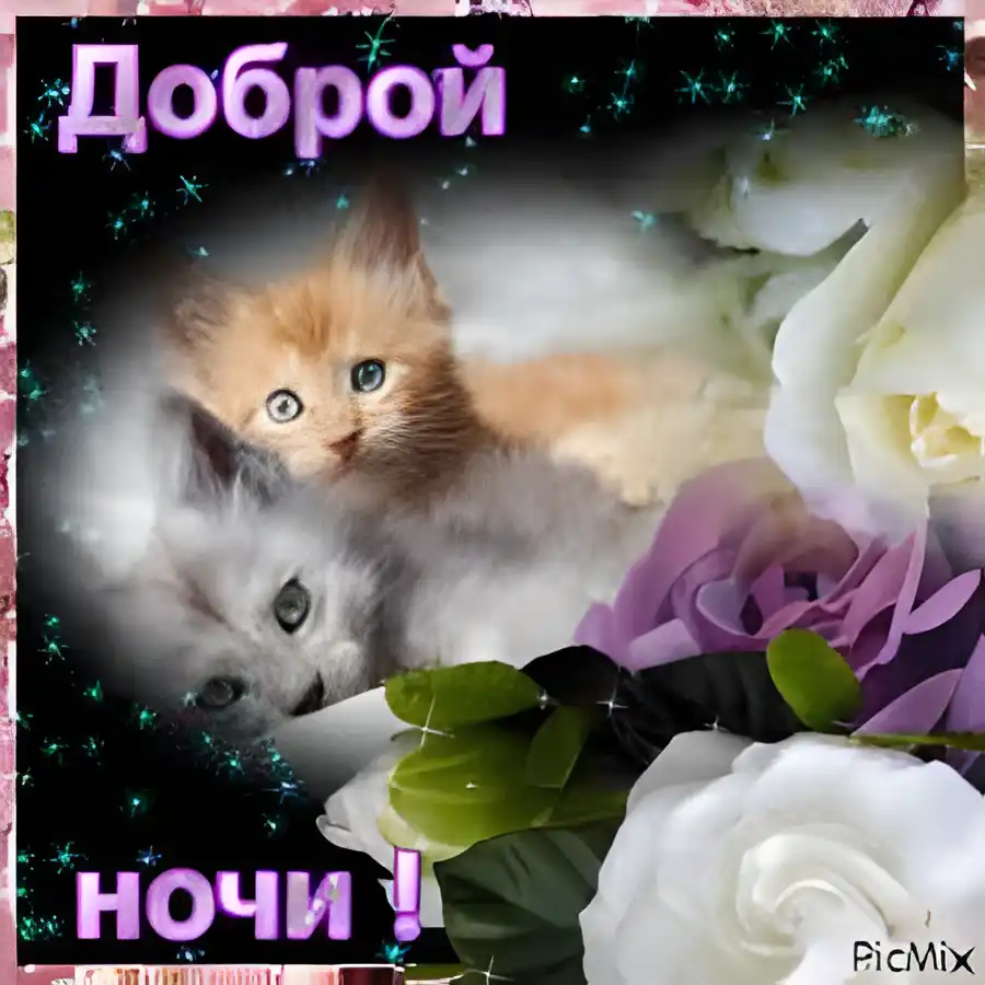 Открытка Открытки с пожеланиями на ночь - Открытка с котятами и цветами | Красивая открытка #190
