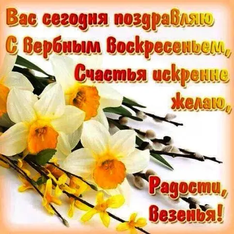 Открытка С вербным воскресеньем - Открытка с нарциссами: нежные цветы на праздник | Красивая открытка #60