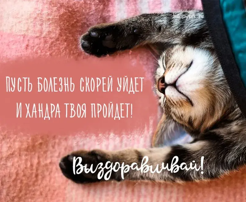 Открытка Скорейшего выздоровления - Спящий котенок на подушке: милая открытка | Красивая открытка #57