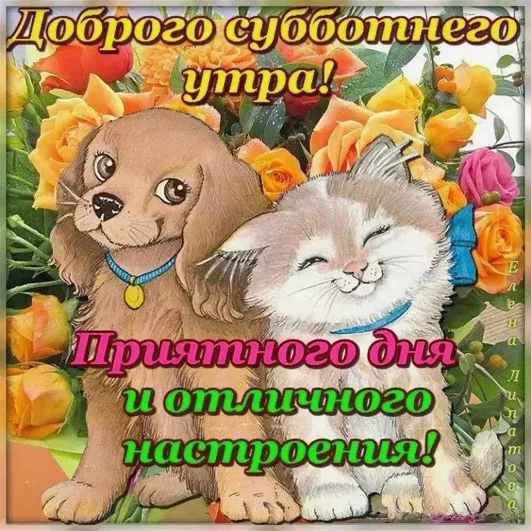 Открытка суббота - Открытка с щенком и котенком на фоне цветов | Красивая открытка #8