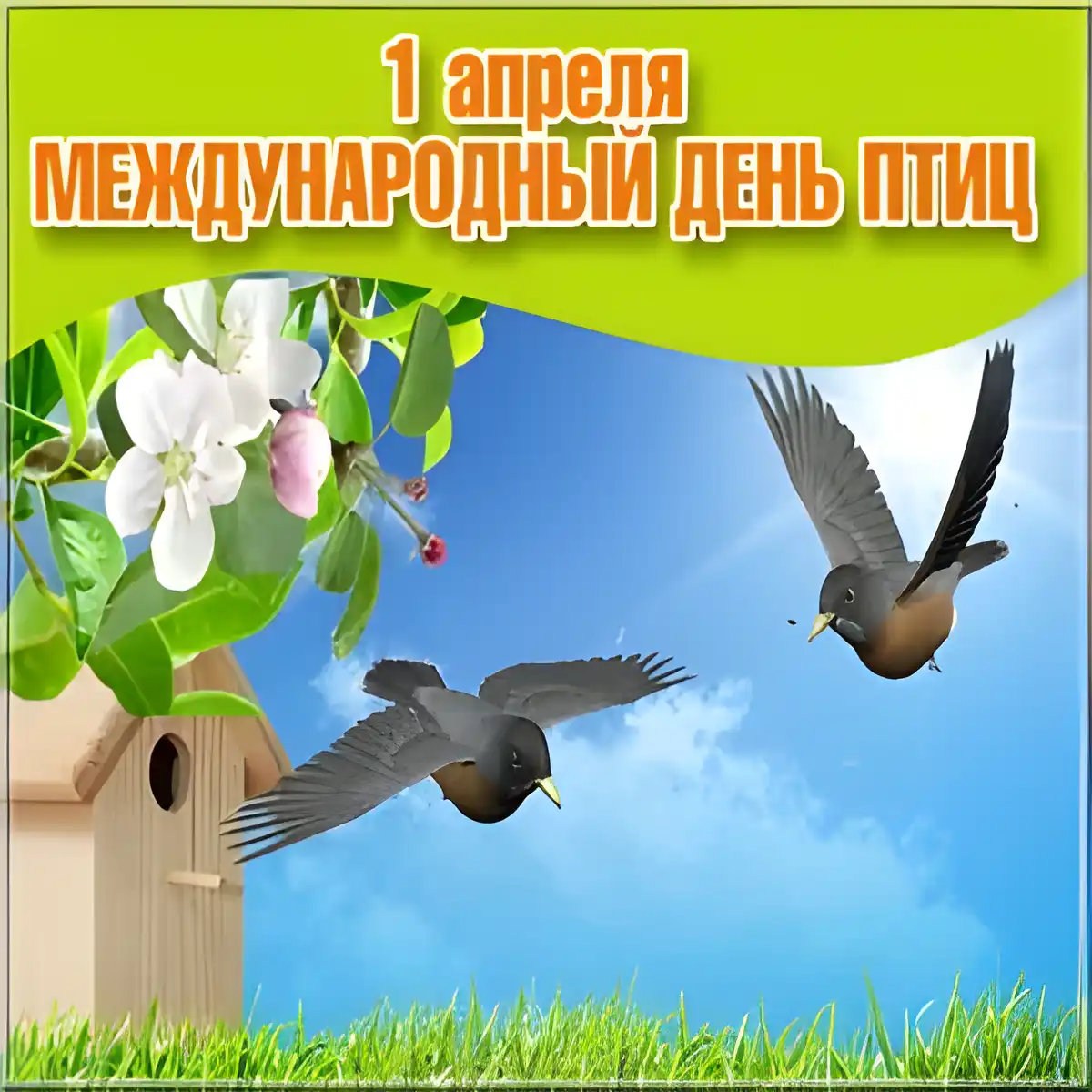 Открытка С днём птиц - Открытка с птицами и цветущей вишней | Красивая открытка #13