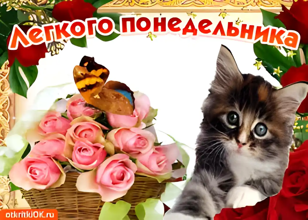 Открытка Открытки на понедельник - Открытка с котенком и розами | Красивая открытка #169