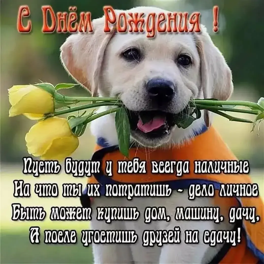 Открытка с днём рождения прикольные - С Днём рождения! | Красивая открытка #49