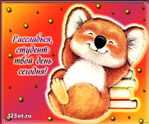 Открытка День студента - Коала с книгами: милая открытка с изображением | Красивая открытка #117