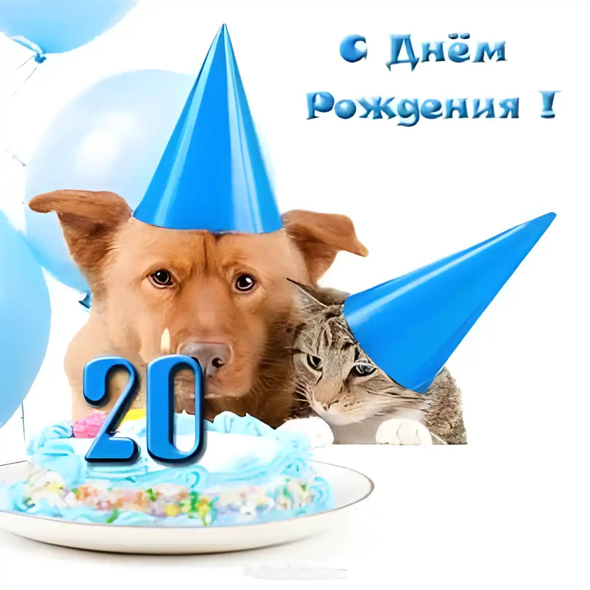 Открытка Открытки на 20 лет - Собака и кот на дне рождения: открытка с тортом | Красивая открытка #66