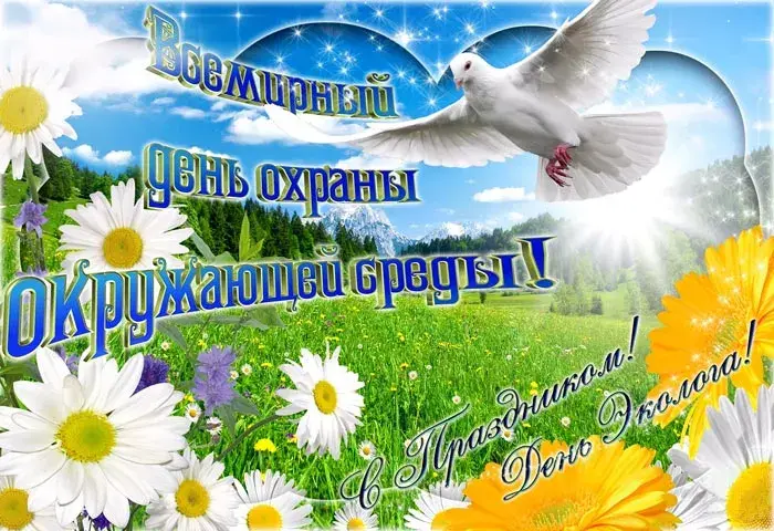 Открытка День эколога - Открытка: поле ромашек, голубь, надпись "С Днем!" | Красивая открытка #10