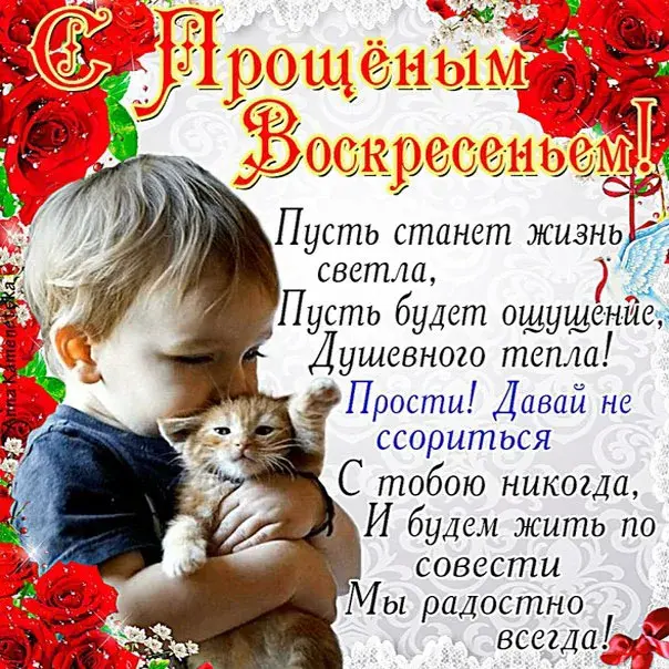 Открытка Прощённое воскресенье - Ребёнок и кот: теплая, нежная открытка | Красивая открытка #96