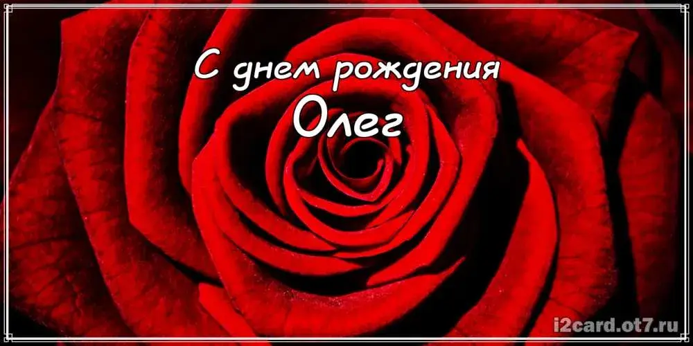 Открытка Открытки с именем Олег  - Красная роза: открытка с днем рождения  iCard | Красивая открытка #202