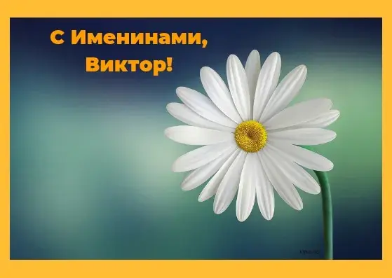 Открытка открытки с именем Виктор - Белая ромашка на фоне голубого неба | Красивая открытка #201