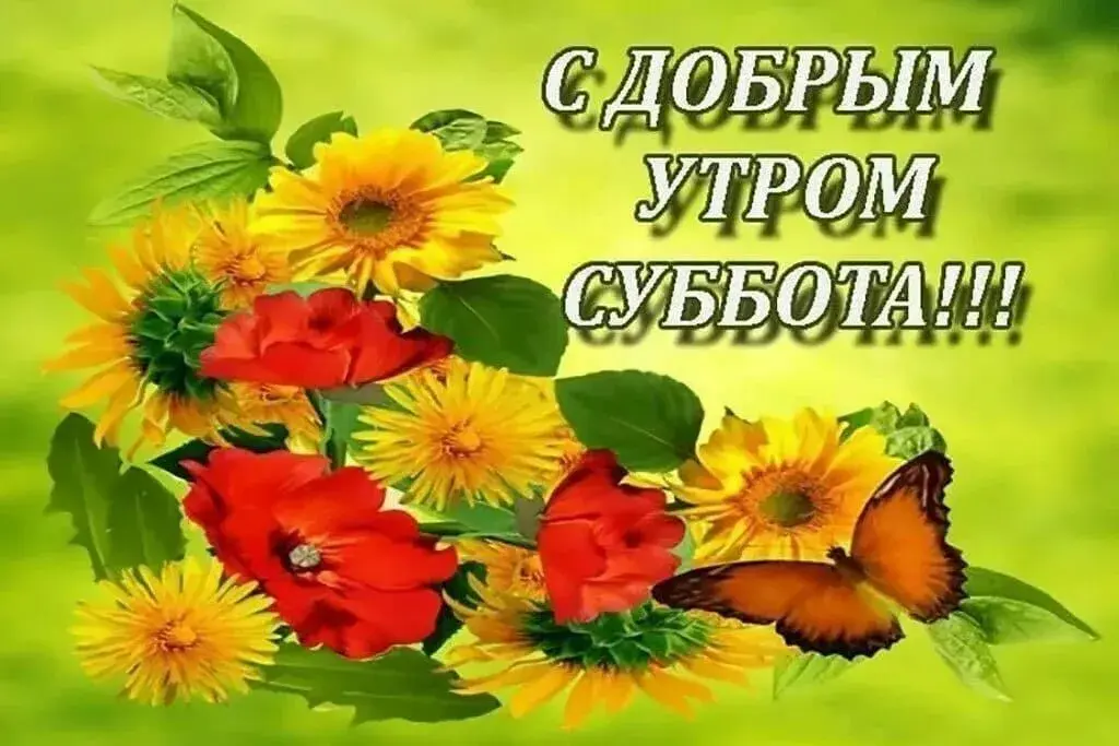 Открытка Доброе утро суббота - Поздравления с днем рождения: цветы и бабочки | Красивая открытка #26