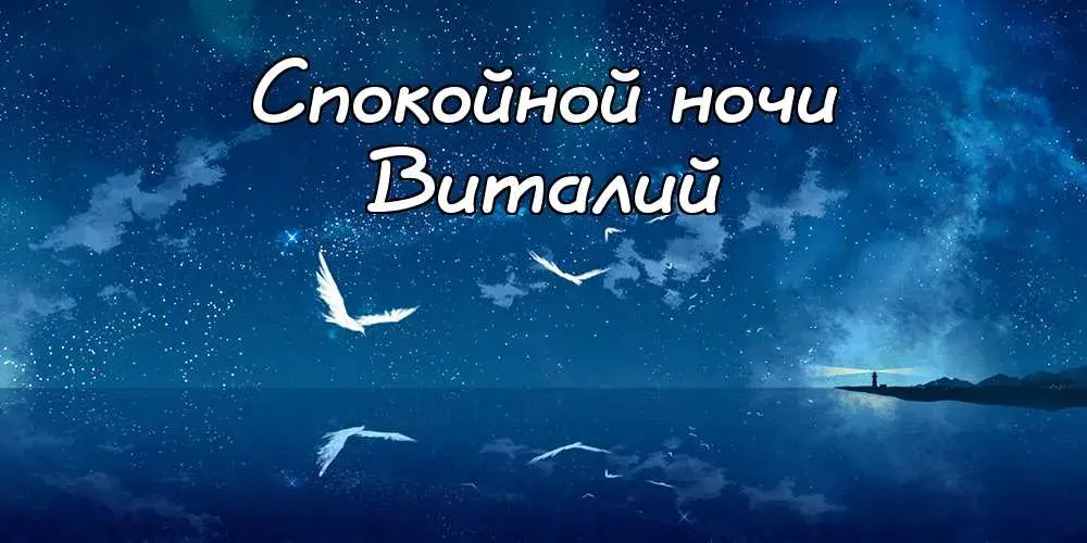 Открытка открытки с именем Виталий - Ночная открытка: море, луна, чайки | Красивая открытка #125