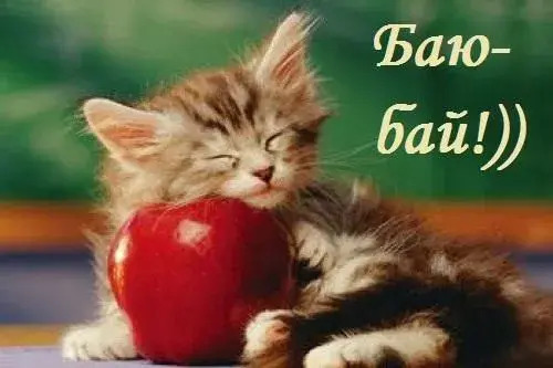 Открытка открытки с пожеланиями спокойной ночи  - Кот и яблоко: С днем знаний! Открытка с котенком | Красивая открытка #8