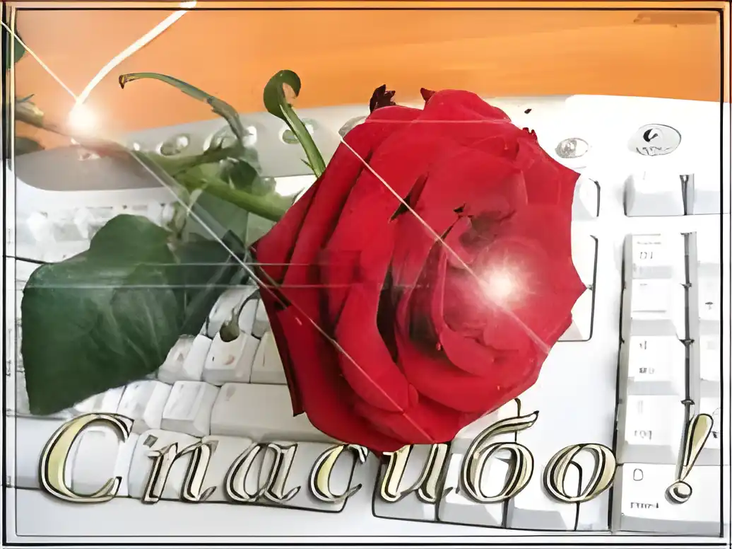 Открытка открытки с благодарностью  - Красная роза на клавиатуре: открытка с цветами | Красивая открытка #248