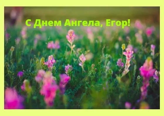 Открытка открытки с именем Егор - Полевые цветы: нежная открытка с днем ангела | Красивая открытка #160