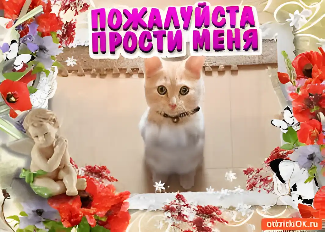 Открытка Прости - Открытка с котенком и ангелом: цветы, бабочки | Красивая открытка #55