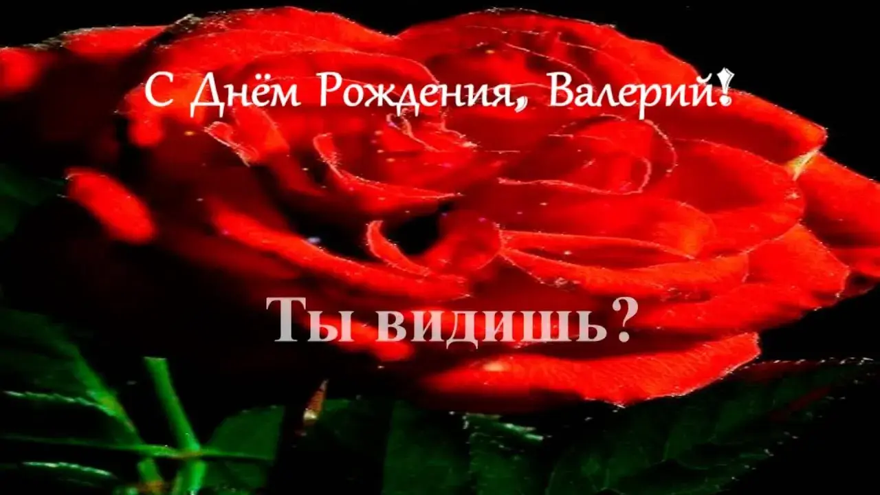 Открытка Открытки с именем Валерий - Красная роза: Открытка с днем рождения | Красивая открытка #71