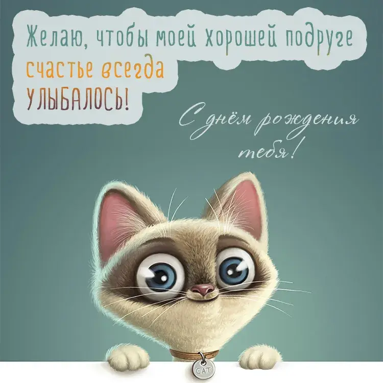 Открытка С пожеланиями другу/подруге - Открытка с котенком: милый подарок на праздник | Красивая открытка #18