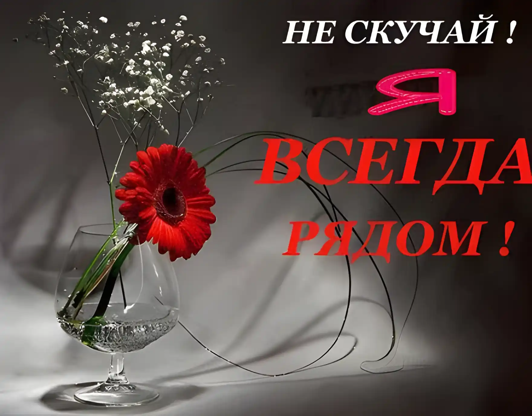 Открытка Я рядом - Букет гербер в вазе: нежные цветы для вас | Красивая открытка #4