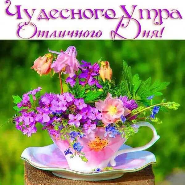 Открытка Доброе утро - Цветы в чашке: нежная открытка с цветами | Красивая открытка #111