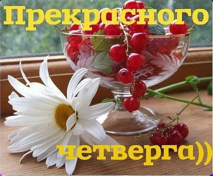 Открытка Открытки на четверг - Открытка с цветком и красной смородиной | Красивая открытка #128