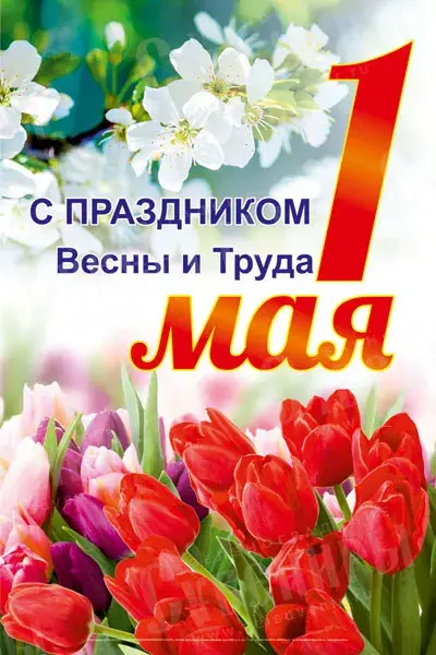 Открытка 1 мая - Цветы, весна, открытка, сакура, тюльпаны | Красивая открытка #147