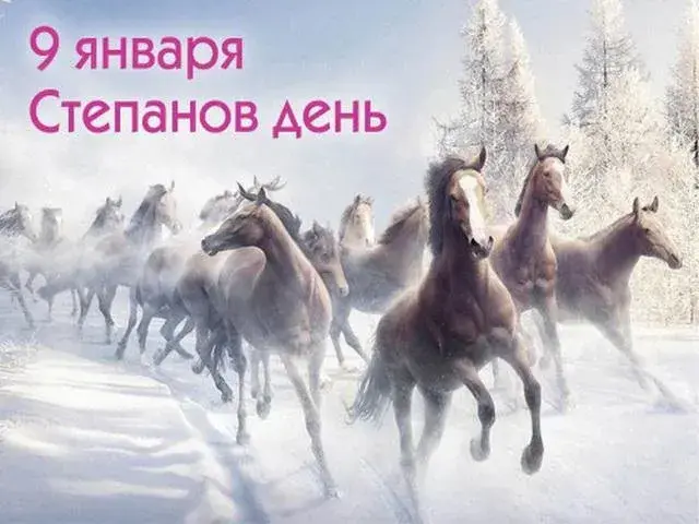 Открытка Степанов день - Стадо лошадей в зимнем пейзаже: открытка с природой | Красивая открытка #1