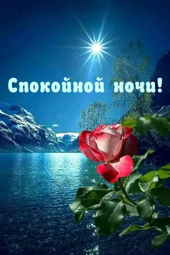 Открытка Спокойной ночи - Открытка с красной розой на фоне озера и гор | Красивая открытка #47