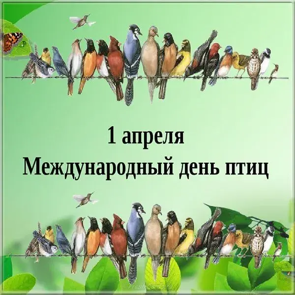 Открытка С днём птиц - Стая птиц на ветке: открытка с Днём птиц | Красивая открытка #10