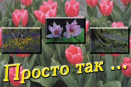 Открытка Просто так - Открытка с тюльпанами и цветами | Красивая открытка #51