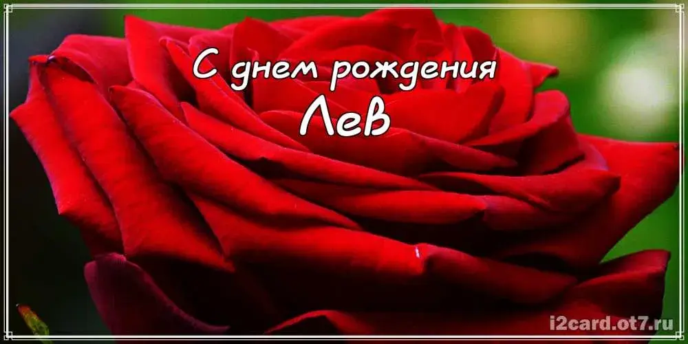 Открытка Открытки с именем Лев  - Красная роза: открытка с днем рождения | Красивая открытка #43
