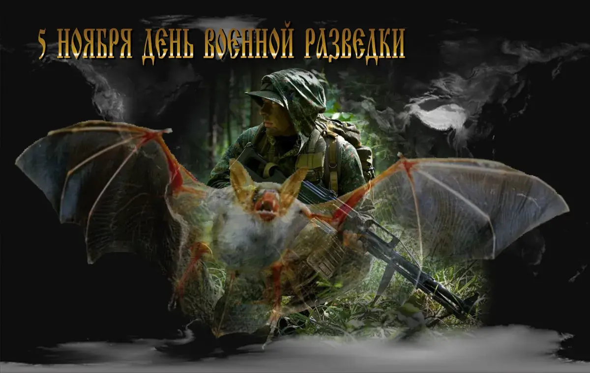 Открытка День военного разведчика - Солдат и летучая мышь: оригинальные открытки | Красивая открытка #9