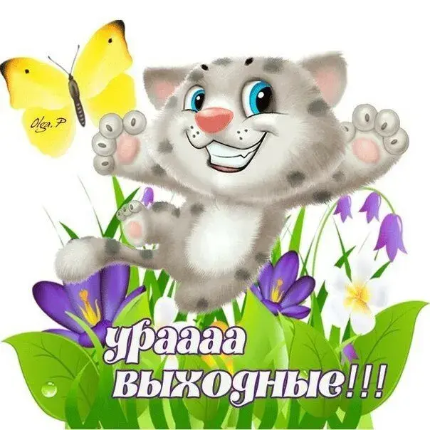Открытка С субботой - Открытка с котиком и цветами | Красивая открытка #33