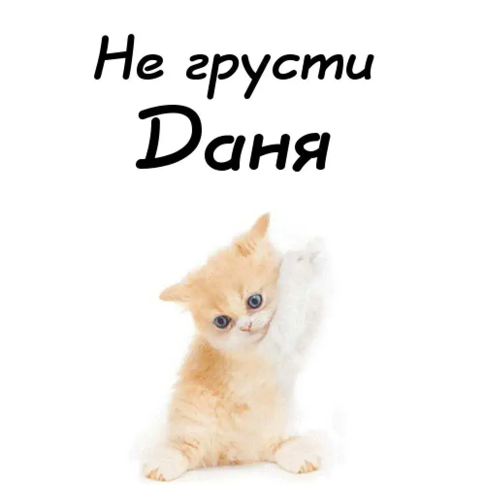 Открытка Открытки с именем Даниил/Данил - Я. Открытка с котенком: милый подарок | Красивая открытка #12