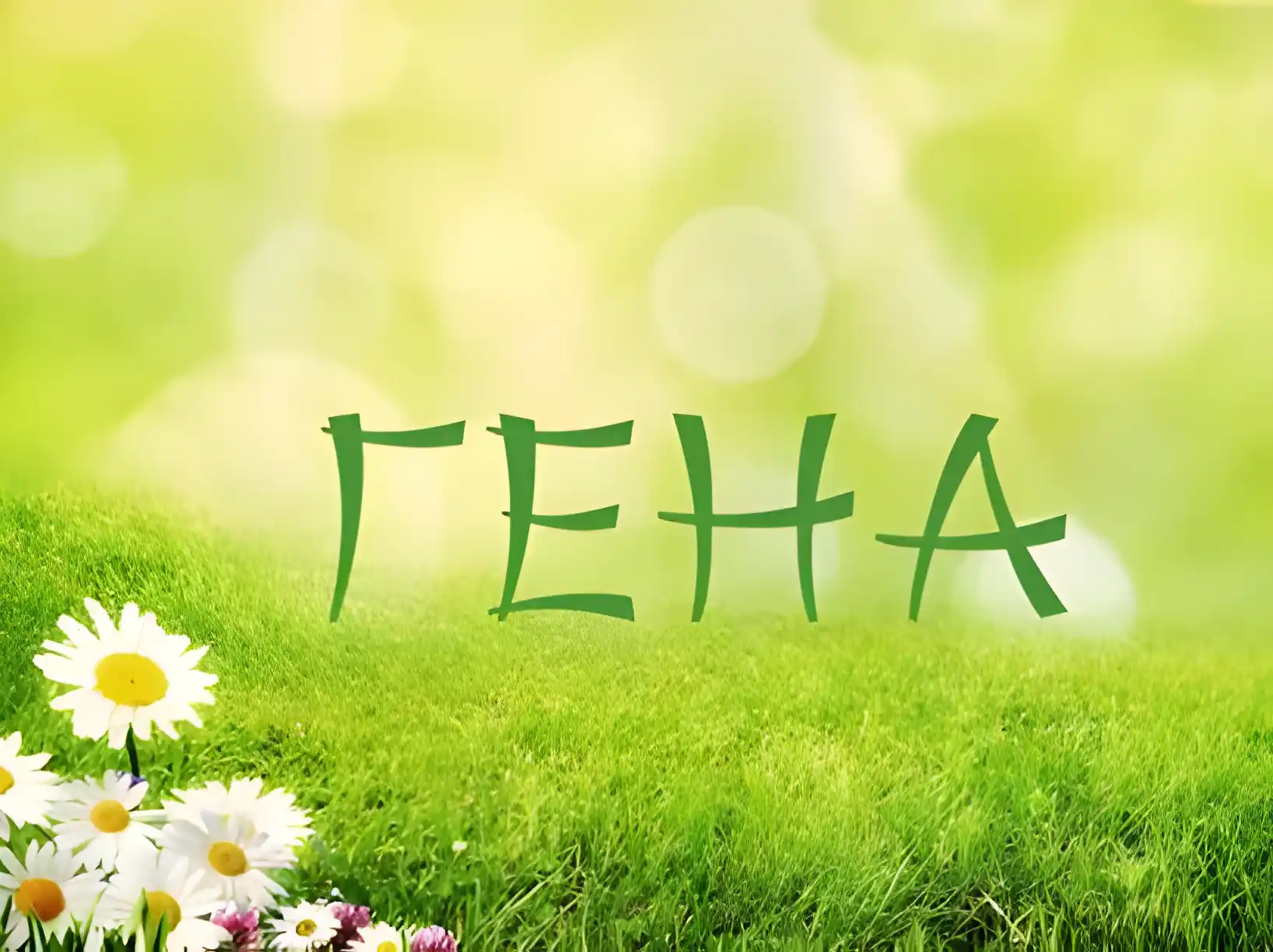 Открытка открытки с именем Геннадий - Открытка с надписью "ГЕНА" на фоне травы и цветов | Красивая открытка #212