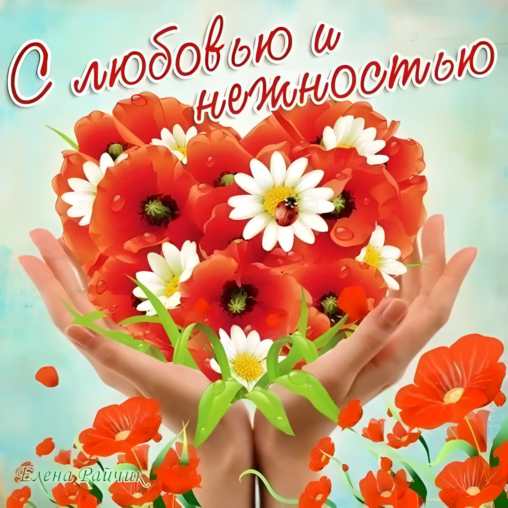 Открытка С маком - Открытка: Красные маки и белые цветы в руках | Красивая открытка #66