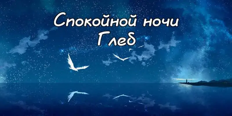 Открытка открытки с именем Глеб - Ночная открытка с птицами и морем | Красивая открытка #87