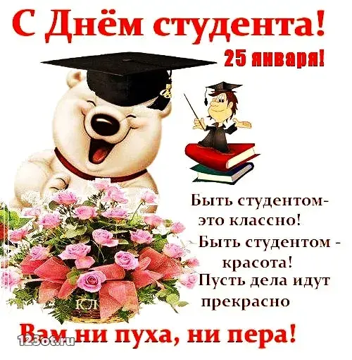 Открытка открытки на день студента  - Открытка с поздравлением: мишка в шапке, студент, цветы | Красивая открытка #93