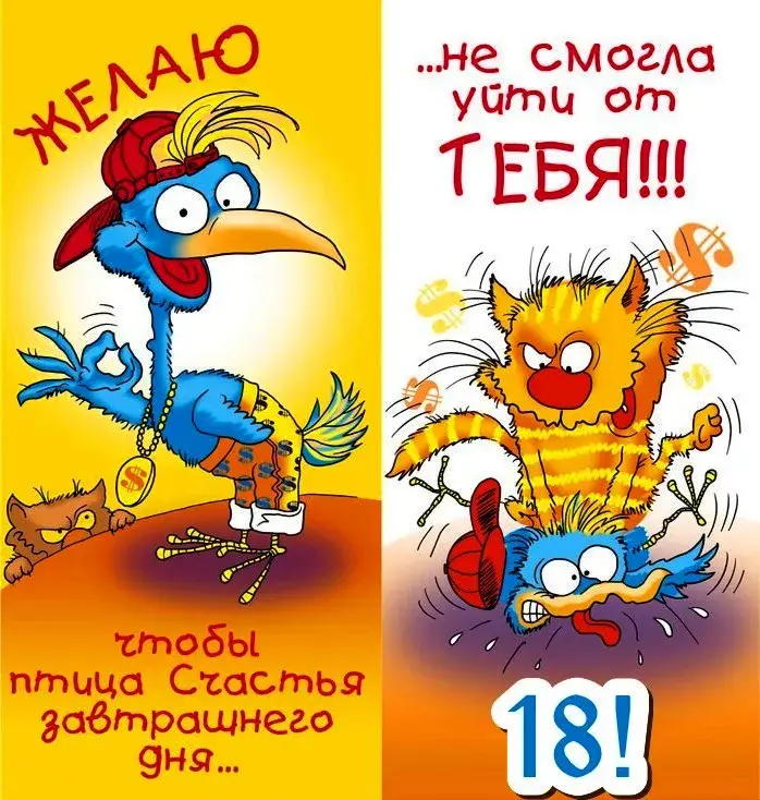 Открытка Открытки на 18 лет - Забавная открытка: птица и кот | Красивая открытка #18